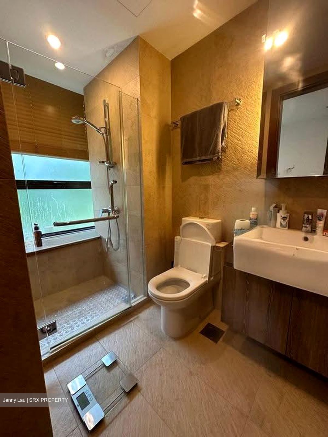 Holland Link (D10), Terrace #629470151